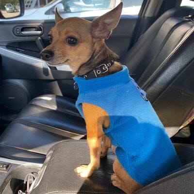 pull pour chien - DogWinterPullover™ - Bleu