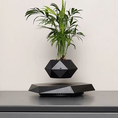 Pot de Fleurs Intérieur - LevitatingPot™ - Noir