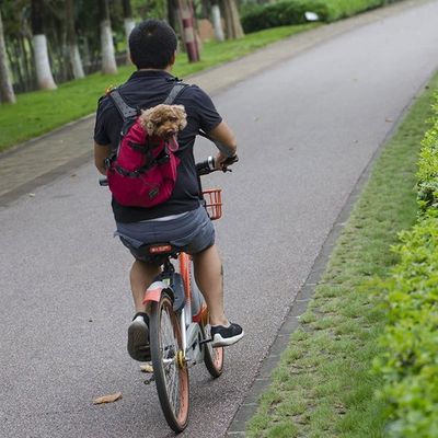Sac à Dos pour Chien - PetBackpack™ - Rouge
