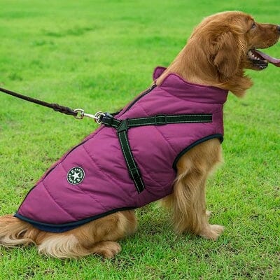 imperméables pour chiens - HarnessDogJacket™ - Pourpre