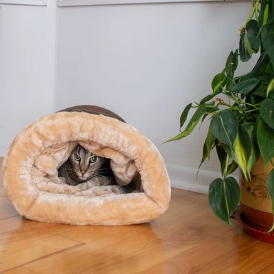Niche Chat - NapNest™ - Marron