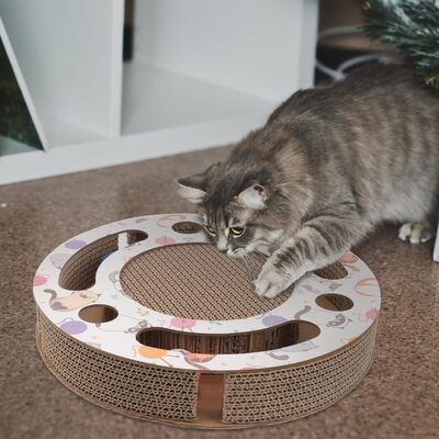 Grattoir Chat - PurrRoundScratcher™ - Chats & Balles