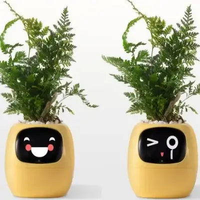 Pot de fleurs -  SmartPlanter™ - Jaune