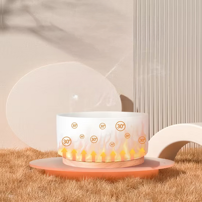 Gamelle pour Chat - WarmSipCatBowl™ - Blanc
