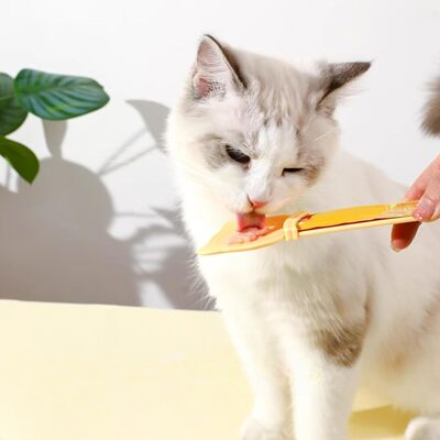 Distributeur Nourriture Chat - MeowSpoon™ - Orange