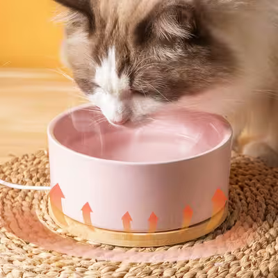 Gamelle pour Chat - WarmSipCatBowl™ - Rose