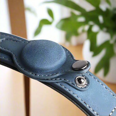 Collier pour Chien - DogGuard™ - Bleu