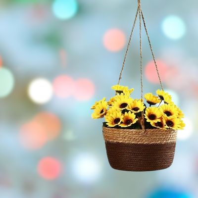Pot de Fleur Suspendu - PlantBasket™ - Jaune/Marron