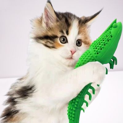 jouet interactif chat - CatnipToys™ - Vert