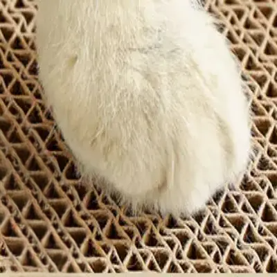 Maison pour chat - CatScrapersHouse™