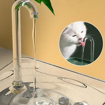 Fontaine A Eau Chat - CatWaterFountain™ - Transparent
