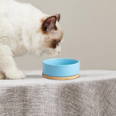 Gamelle pour Chat - WarmSipCatBowl™ - Bleu