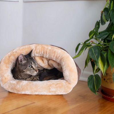 Niche Chat - NapNest™ - Marron