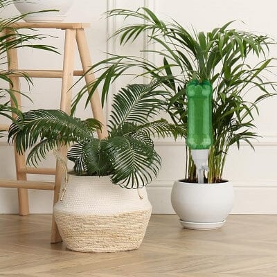 Goutte à goutte bouteille - AdjustableIrrigationSystem™ - Blanc