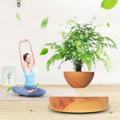 Pot de Fleurs Intérieur - LevitatingPot™ - Bois