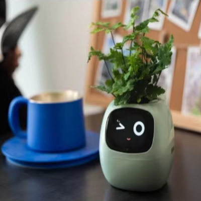 Pot de fleurs -  SmartPlanter™ - Vert