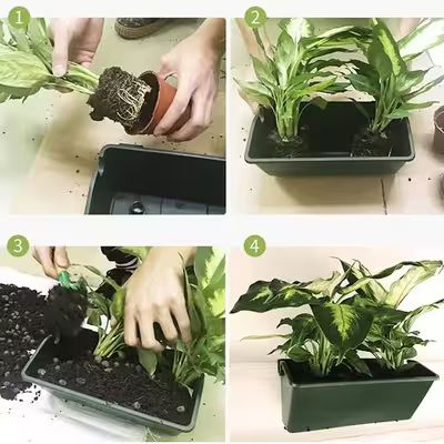 Jardinière Suspendue - GreenVerticalPlanter™
