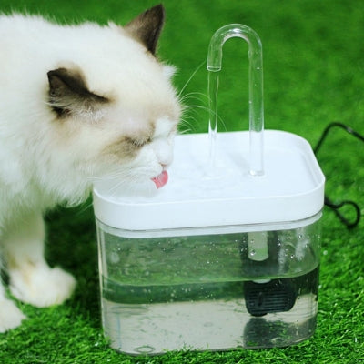 Fontaine A Eau Chat - CatWaterFountain™ - Blanc