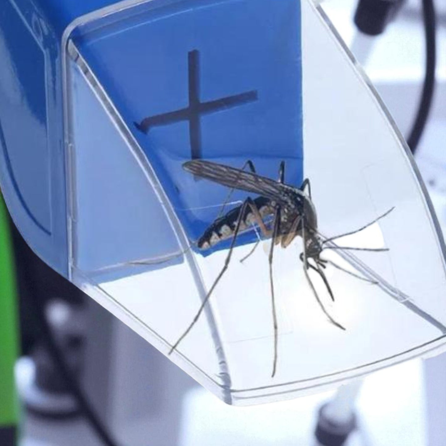 Attrape Insecte - BugCatcherSafe™ - Bleu