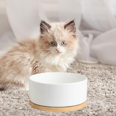 Gamelle pour Chat - WarmSipCatBowl™ - Blanc