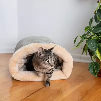 Niche Chat - NapNest™ - Gris