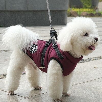 imperméables pour chiens - HarnessDogJacket™ - Pourpre