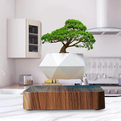 Pot de Fleurs Intérieur - LevitatingPot™ - Blanc&marron