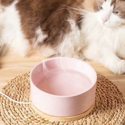 Gamelle pour Chat - WarmSipCatBowl™ - Rose