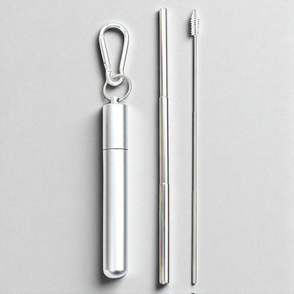 Paille Réutilisable - SteelSipKit™ - Argenté
