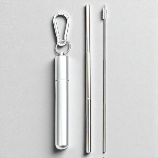 Paille Réutilisable - SteelSipKit™ - Argenté