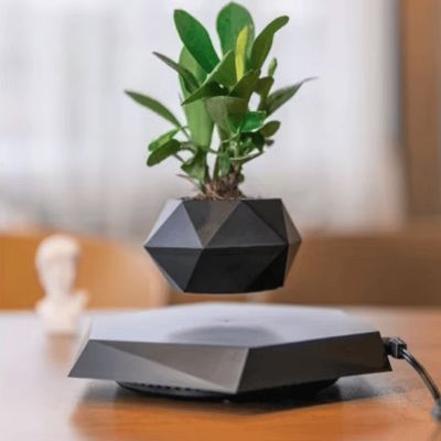 Pot de Fleurs Intérieur - LevitatingPot™ - Noir