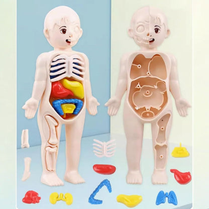 Puzzle Corps Humain - BodyLearnKit™