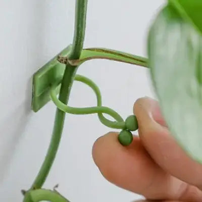 Support Plante - WallHangingPlantFixer™ - Vert
