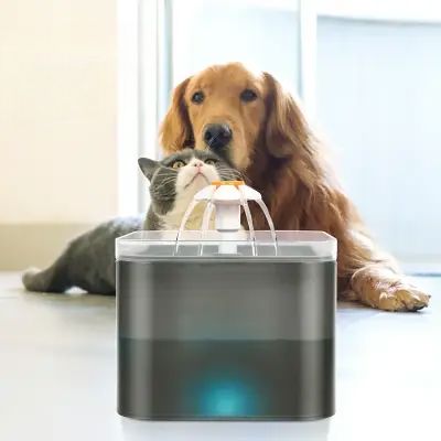 Fontaine à Eau pour Chat - SilentPetFountain™ - Gris