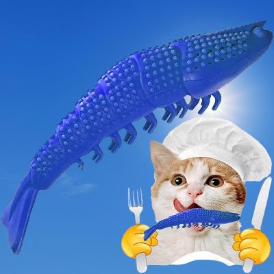 jouet interactif chat - CatnipToys™ - Bleu