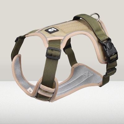 Harnais pour chien - DogReflectiveHarness™ - Beige