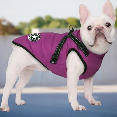 imperméables pour chiens - HarnessDogJacket™ - Pourpre