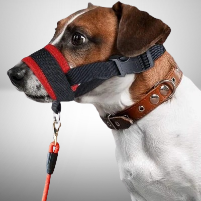 Muselière Chien - AntiBarkDogMouthMuzzle™ - Rouge