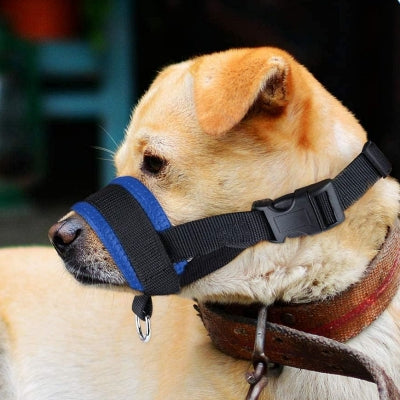 Muselière Chien - AntiBarkDogMouthMuzzle™ - Bleu