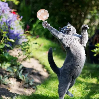 Balle pour Chat - JingleChase™ - Blanc Rose