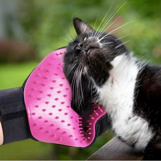 Gant de Toilettage - FurEase™ - Rose