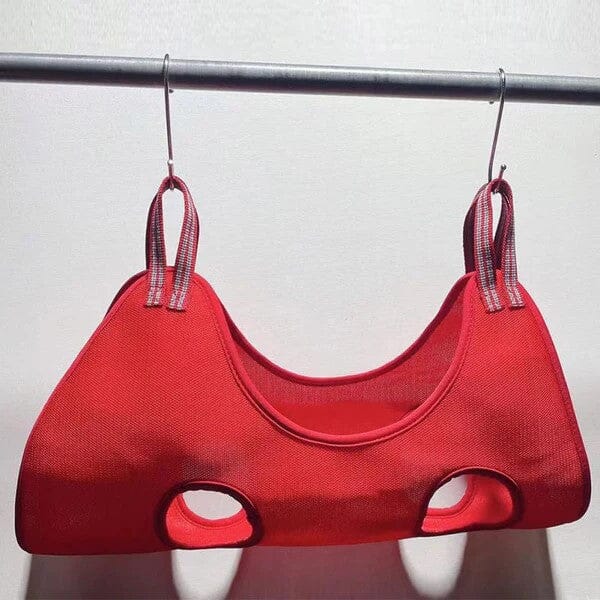 Toilettage Chat - GroomHamac™ - Rouge