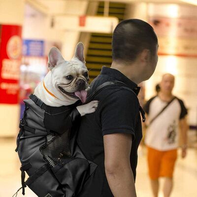 Sac à Dos pour Chien - PetBackpack™ - Noir