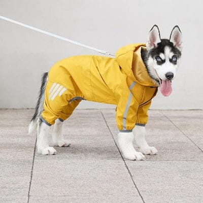 imperméables pour chiens - DogRaincoat™ - Jaune