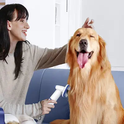 Toilettage Chien - ProDogGroomingKit™