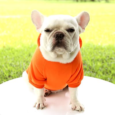 pull pour chien - PetDogClothes™ - Orange