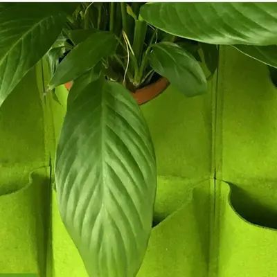 Jardin Vertical - PocketsWallPlanter™ - Vert