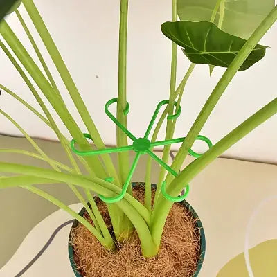 Support Plante - NewPlantFixingClip™ - Vert