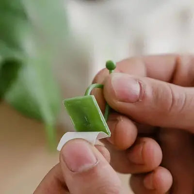 Support Plante - WallHangingPlantFixer™ - Vert