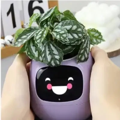 Pot de fleurs -  SmartPlanter™ - Mauve